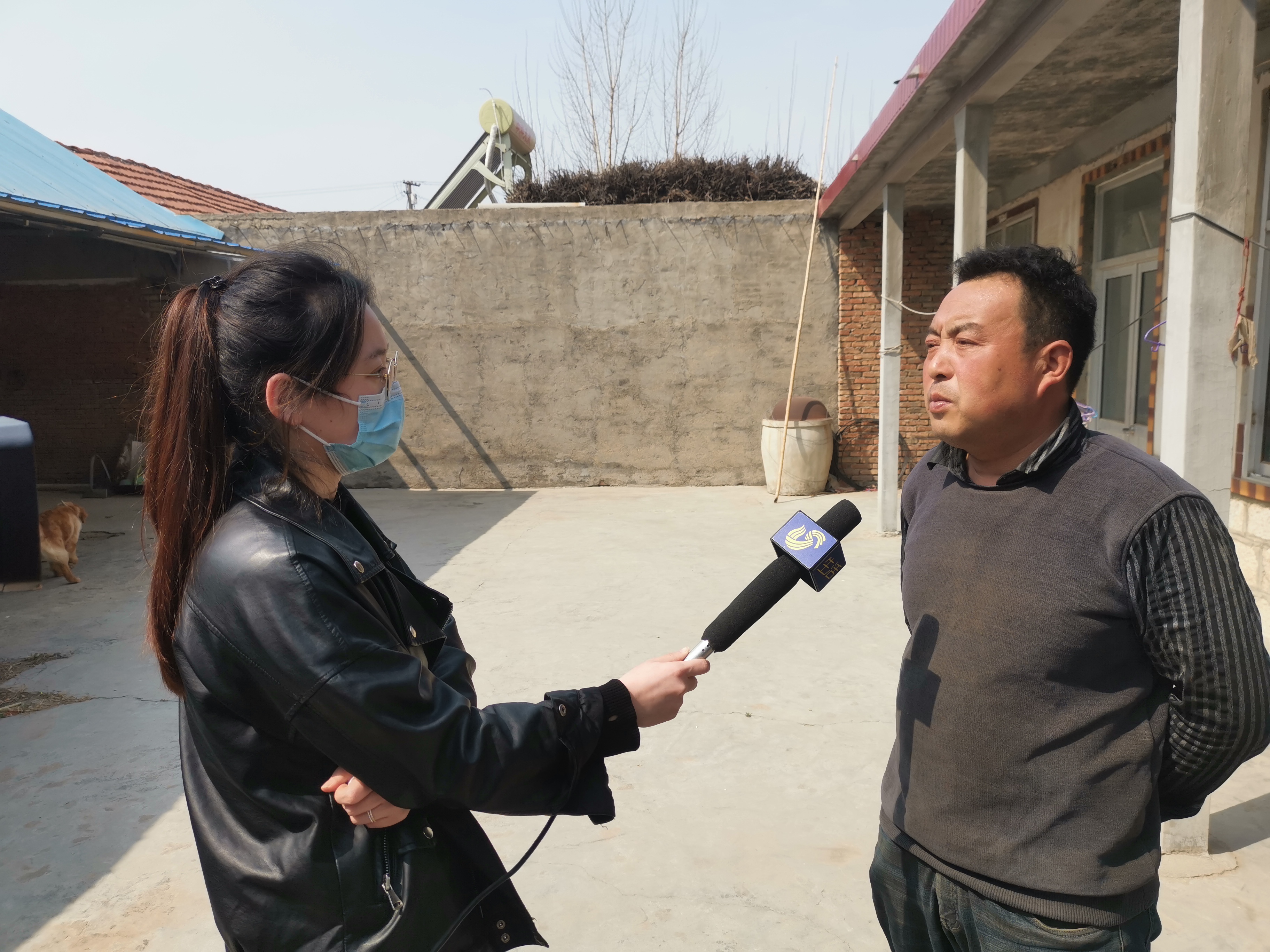 第209所 平度市崔家集镇状元府乐动网刘丽新小学